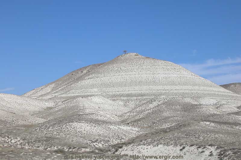 ahlat oglan